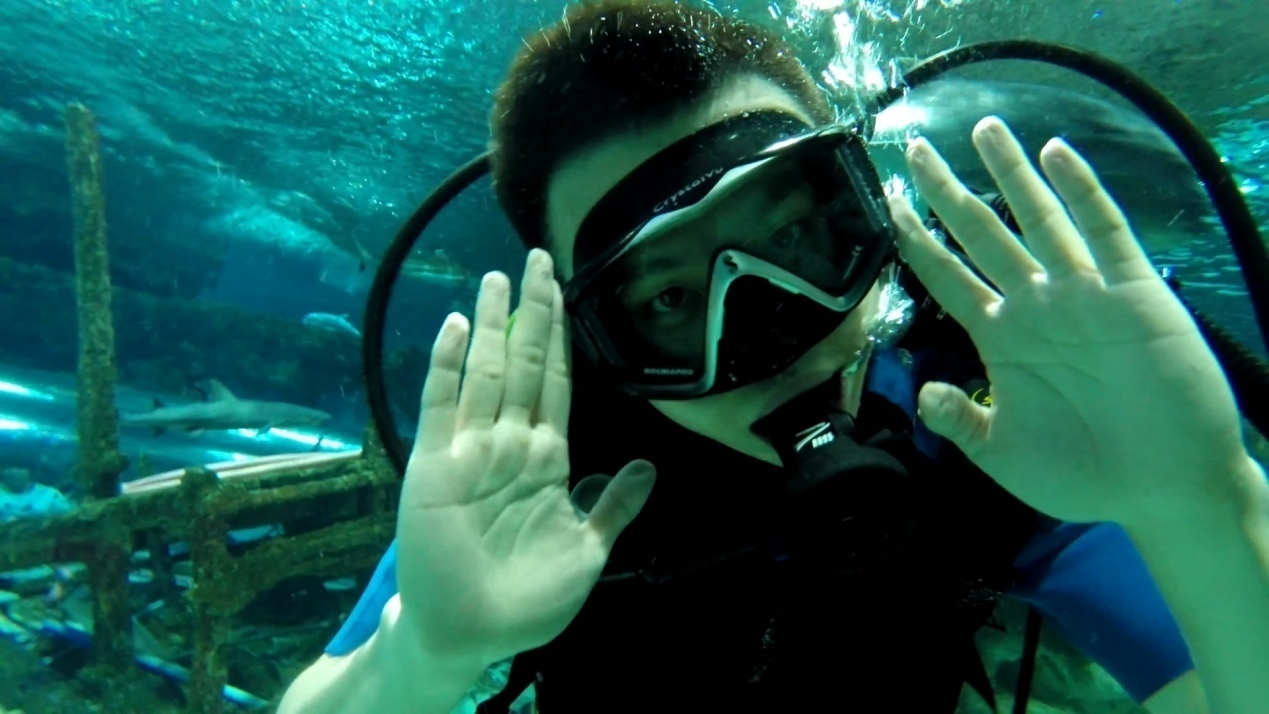 富国海底世界深潜体验活动--活动总结-潜水时